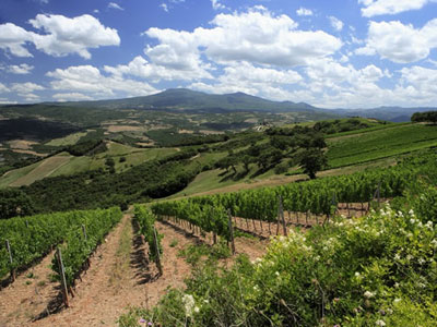 affitto mare toscana