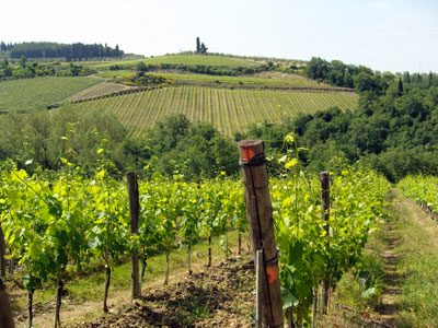 affitto mare toscana